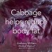 SPRAY FREE RED CABBAGE HALF (MEDIUM)  KATIKATI Grown 